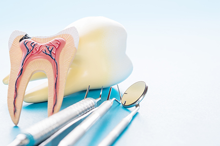 Premium Dental